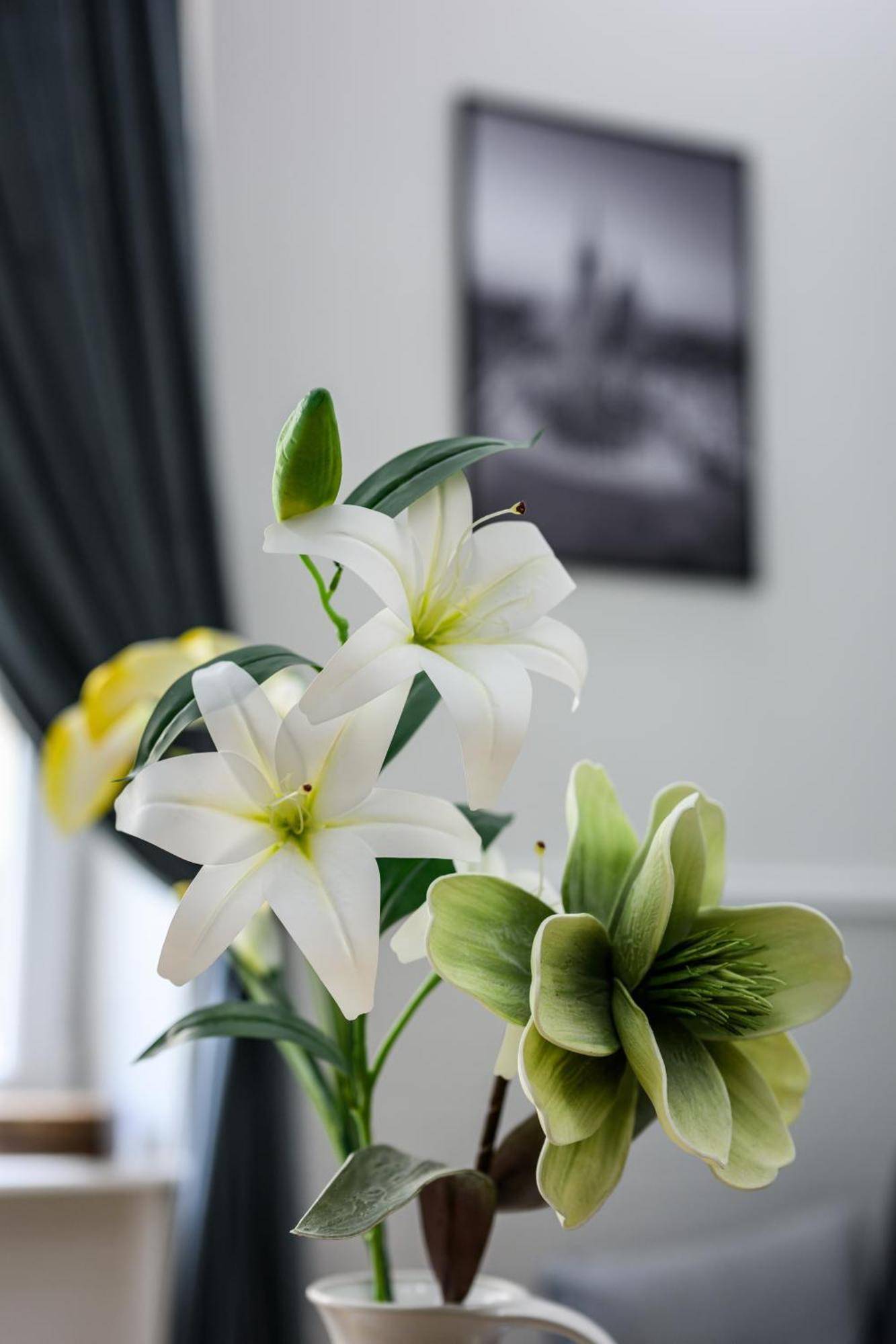 Native Apartments Sereno Fenn'A 5 Krakow Ngoại thất bức ảnh